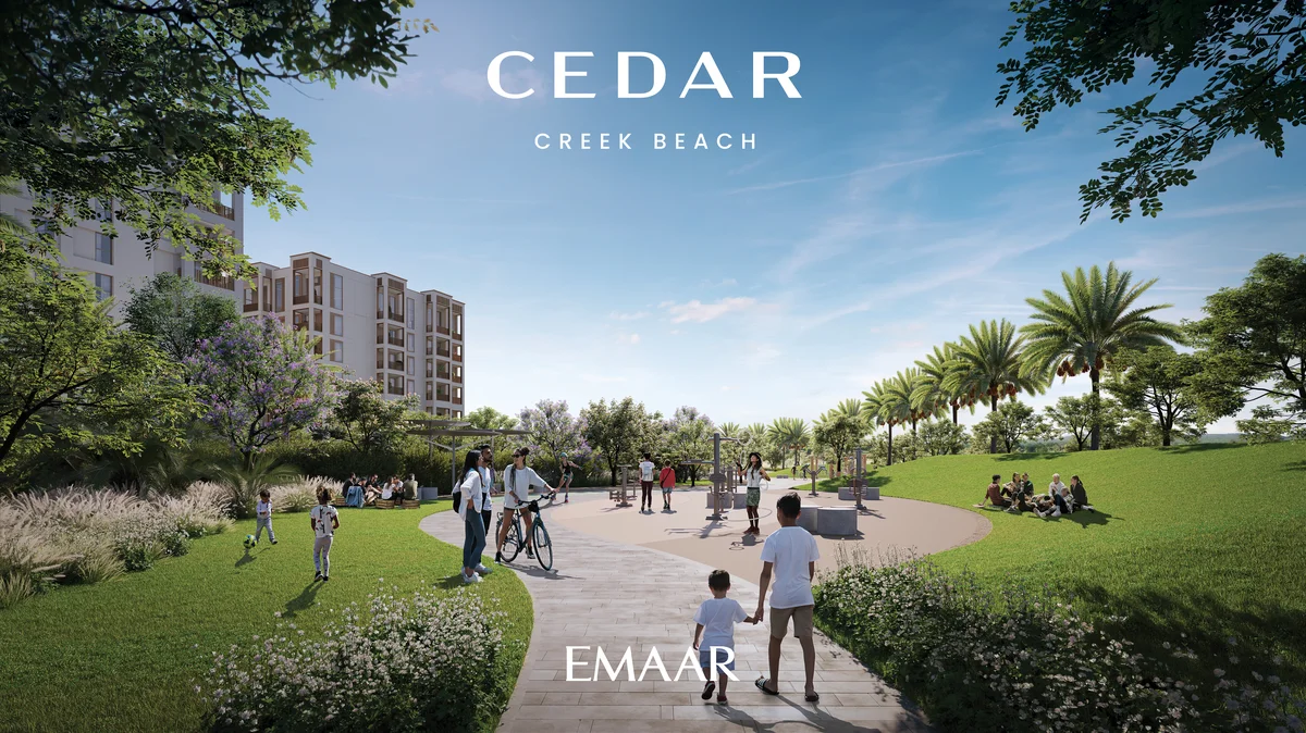 Cedar