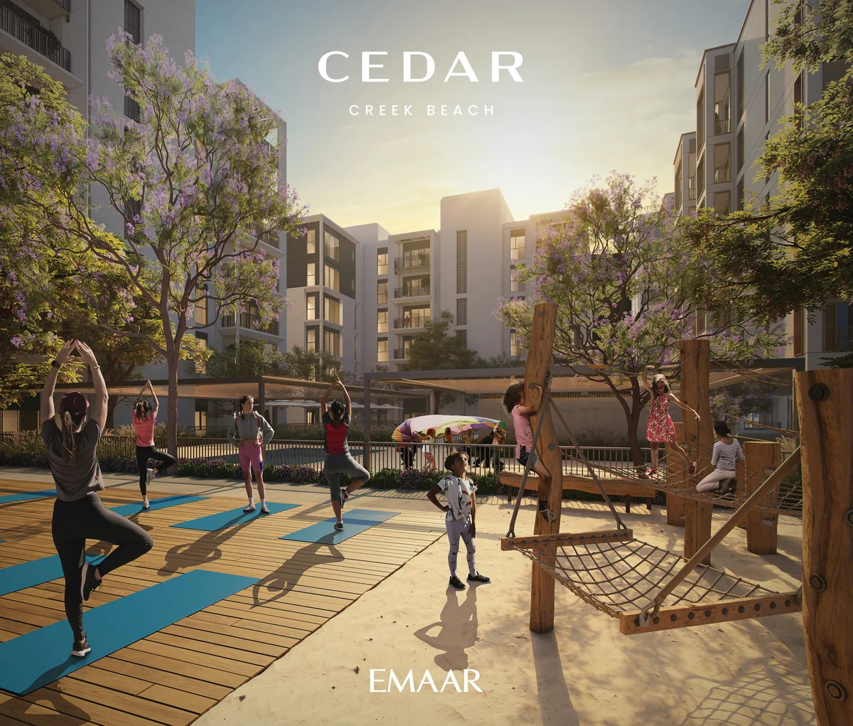 Cedar
