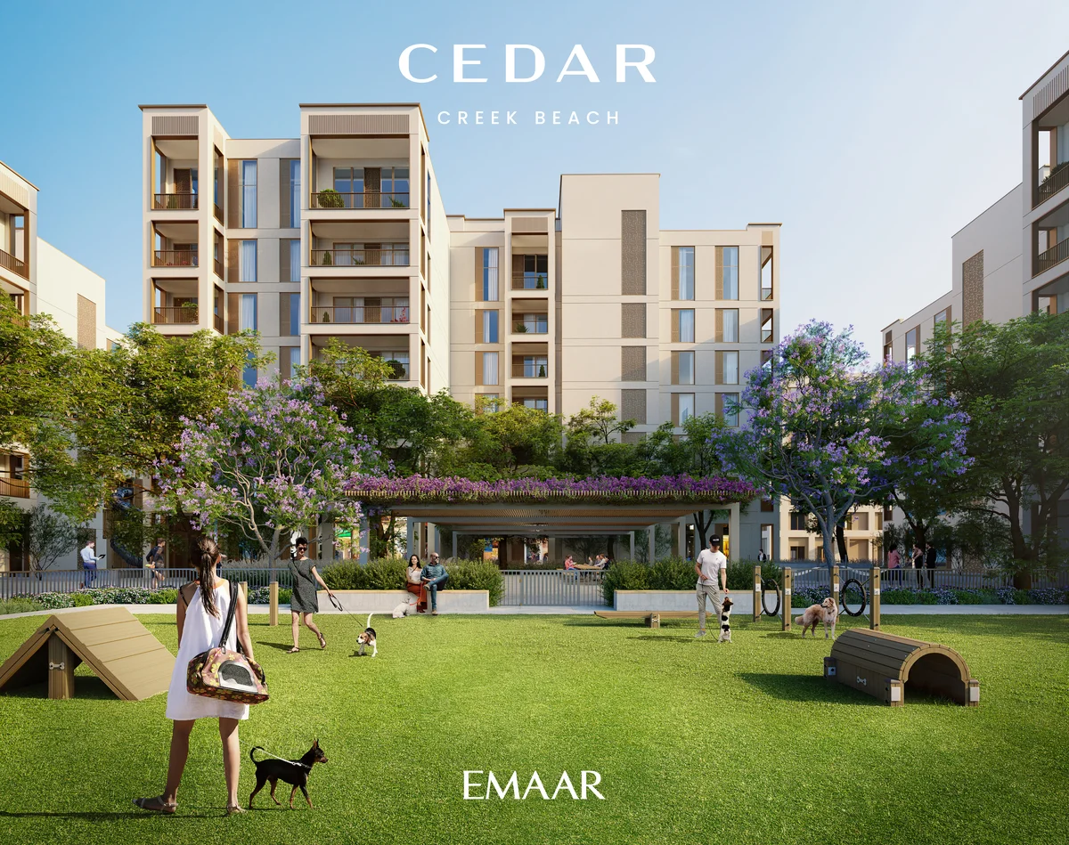 Cedar