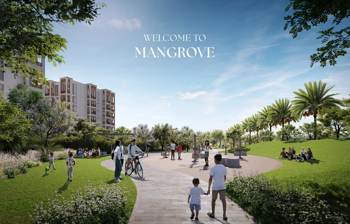 Mangrove