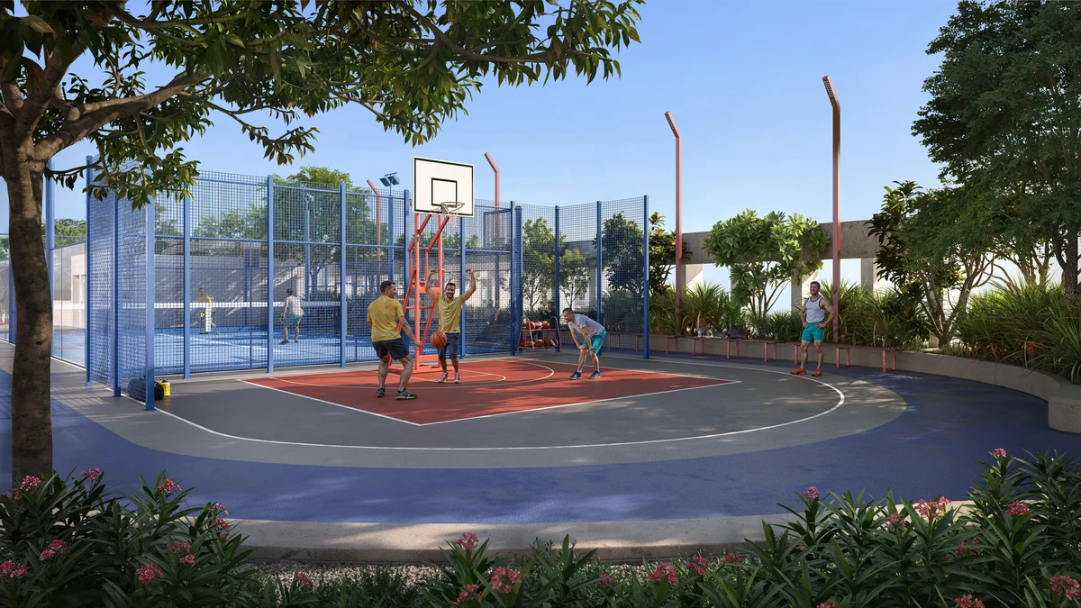 park Five